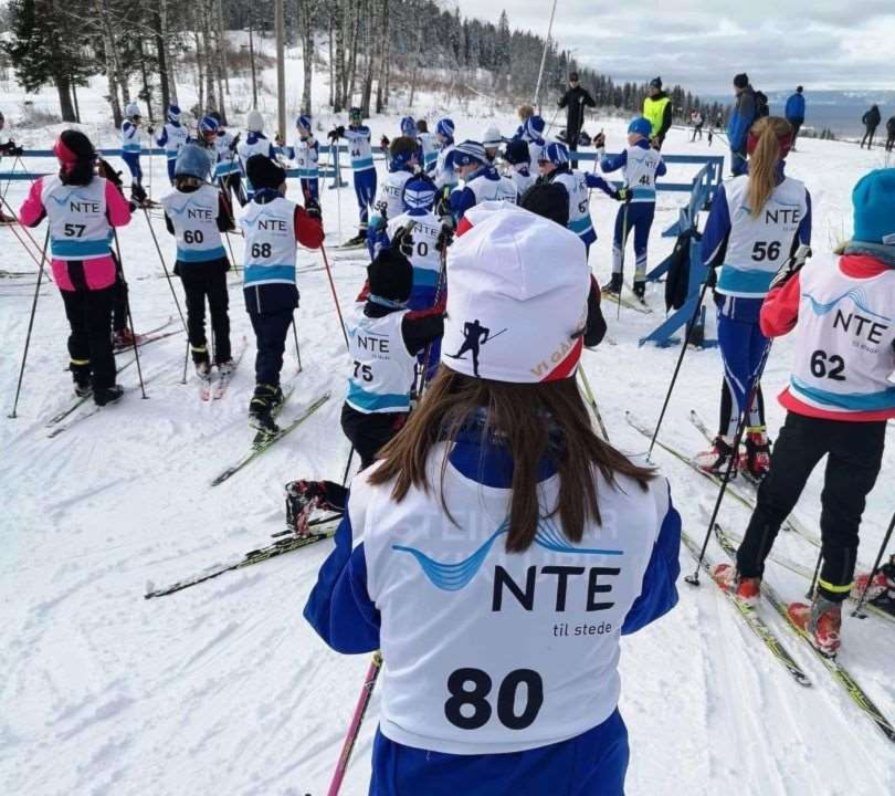 TD/Arrangørkurs langrenn